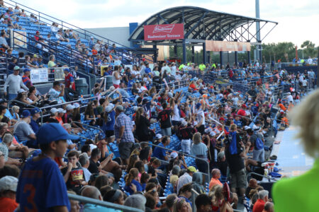 Voices for Children at St. Lucie Mets